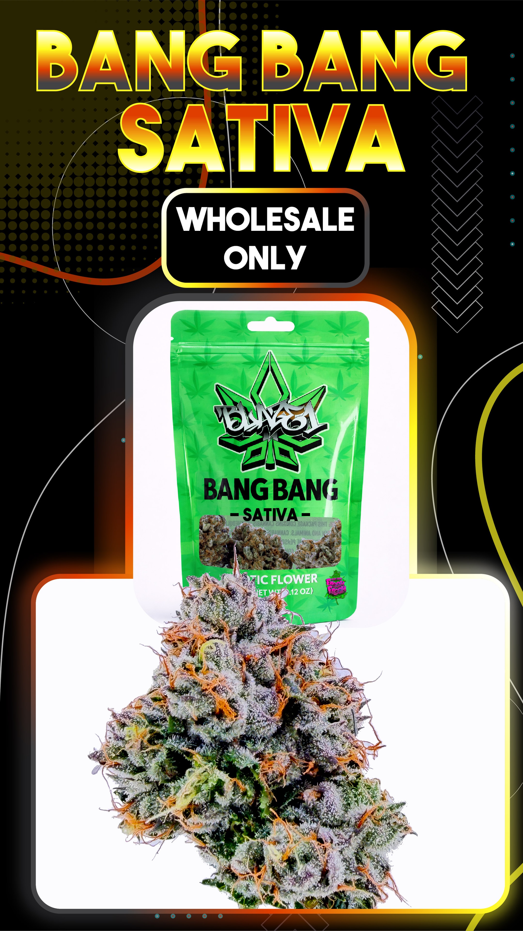Bang Bang